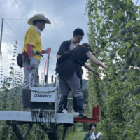 与謝野町のホップ畑